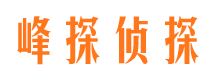 莒县市调查公司